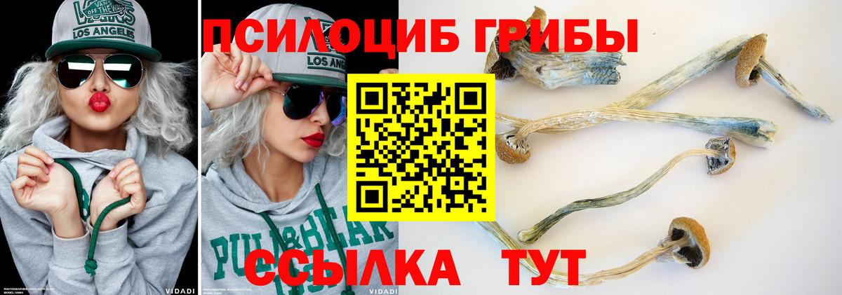 Псилоцибиновые грибы MAGIC MUSHROOMS  Вход с VPN  Семёнов 