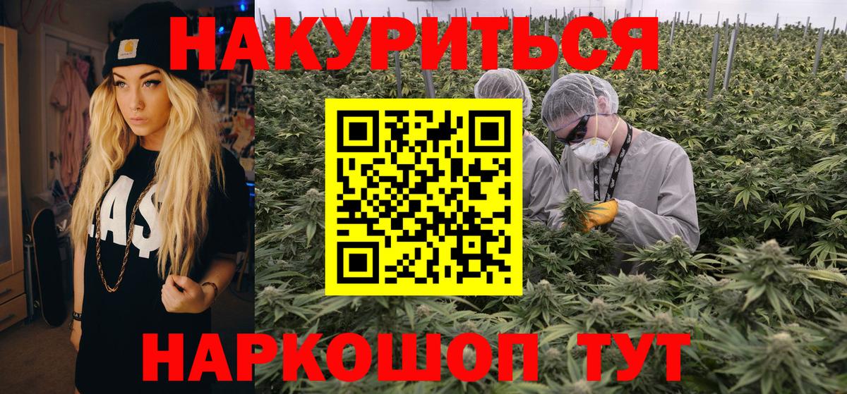 Каннабис сатива  Конопля OG Kush  Семёнов  Марихуана AK-47  Вход с VPN 